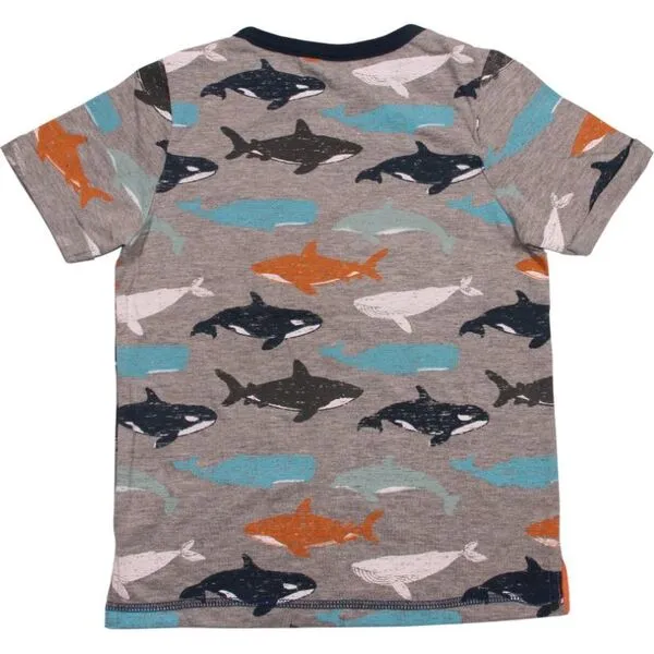 Bear Camp Aldo Whale Tee  Grey Heather