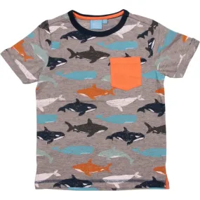 Bear Camp Aldo Whale Tee  Grey Heather