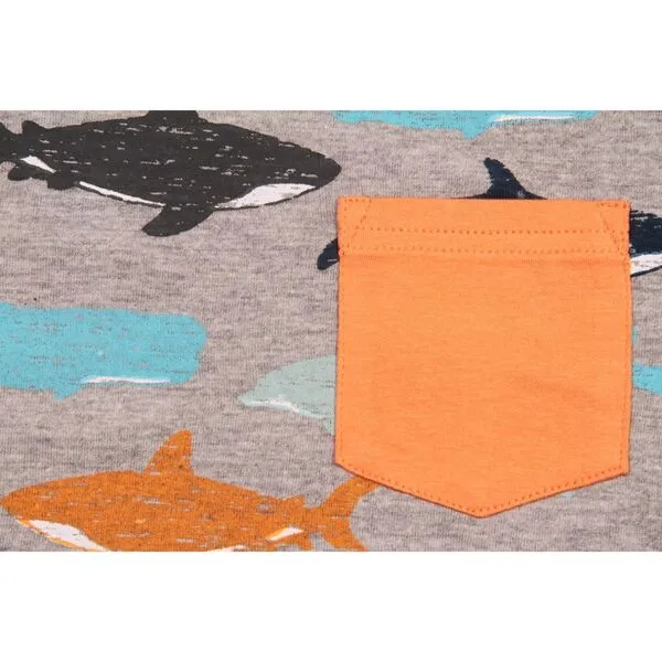 Bear Camp Aldo Whale Tee  Grey Heather