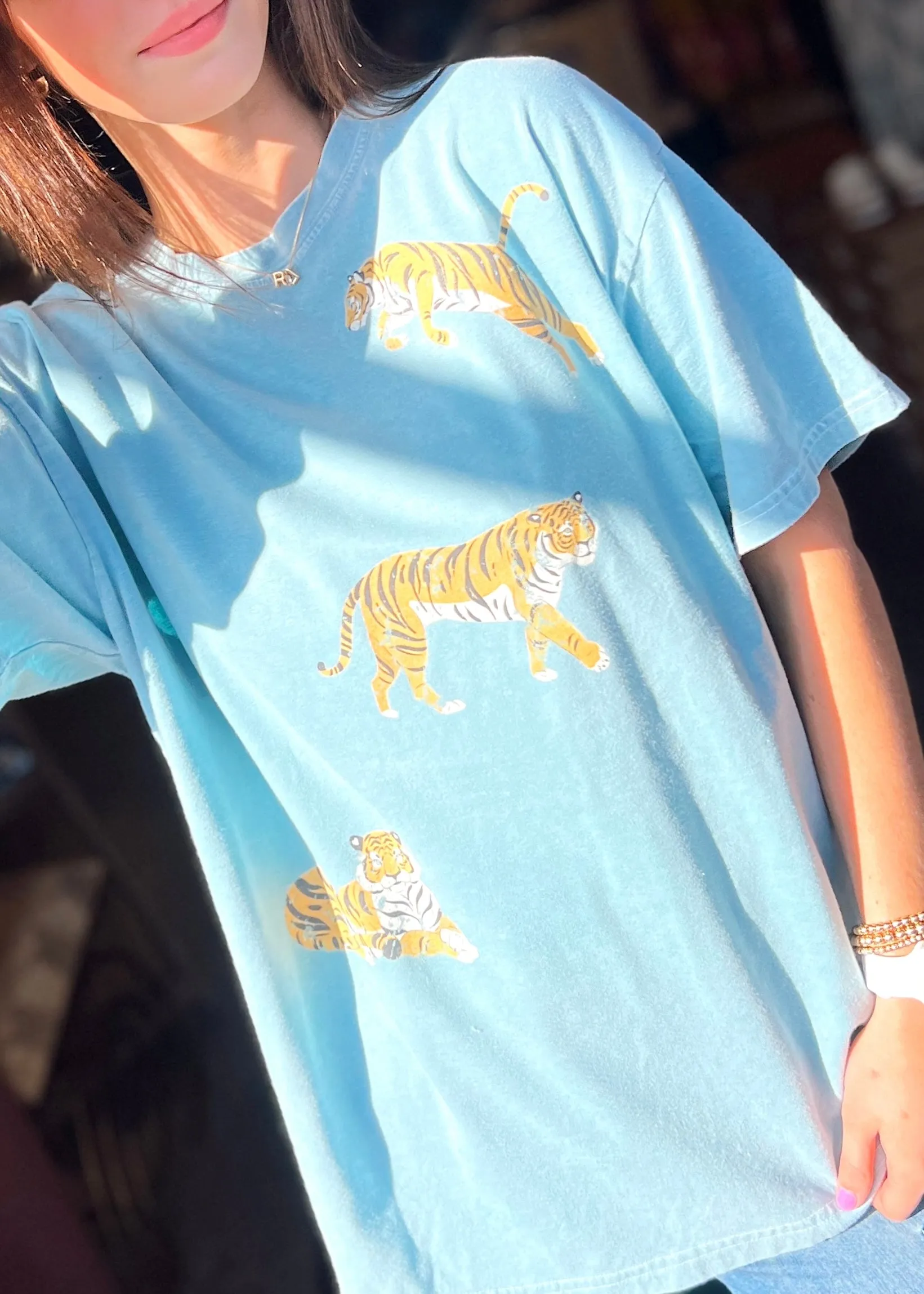 Easy Tiger Mineral Wash Tee | Dusty Blue